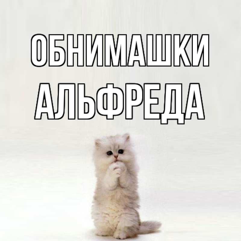 Картинка Обнимашки, Альфреда