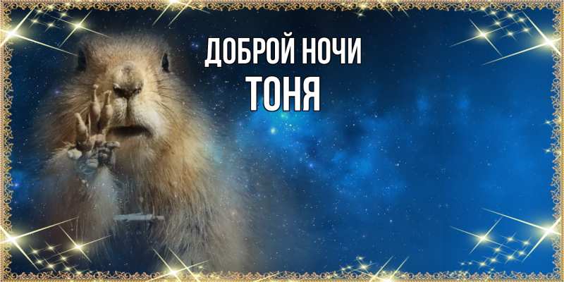 Картинка Доброй ночи, Тоня