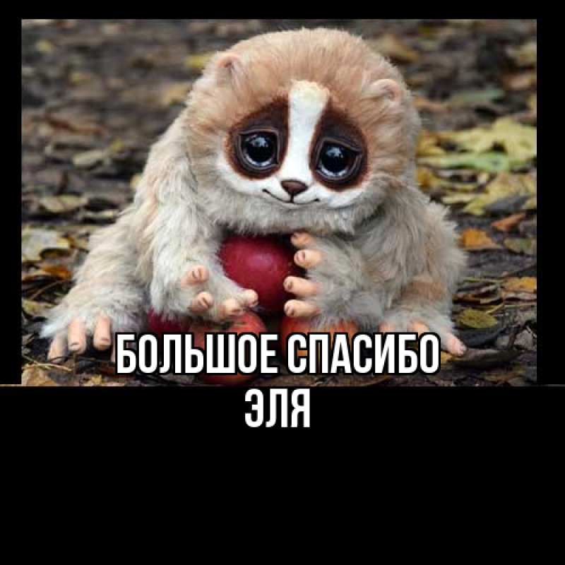 Открытка с именем, Эля, Большое спасибо