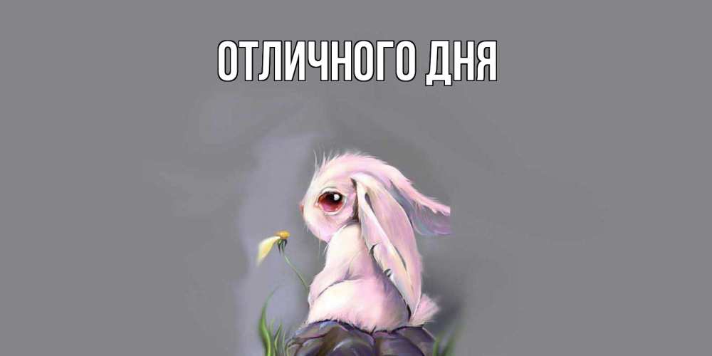 Открытка на каждый день с именем, Леся Скучашки заяц Прикольная открытка с пожеланием онлайн скачать бесплатно 