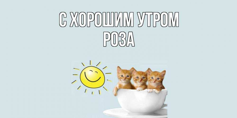 Открытка на каждый день с именем, Роза С хорошим утром котята Прикольная открытка с пожеланием онлайн скачать бесплатно 