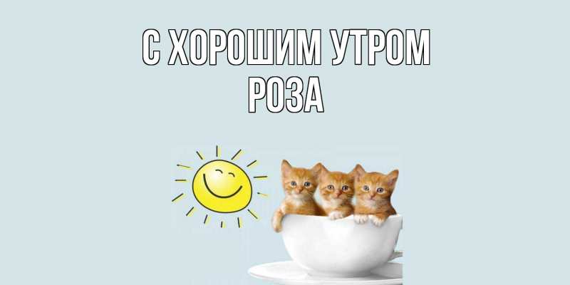 Картинка С хорошим утром, Роза