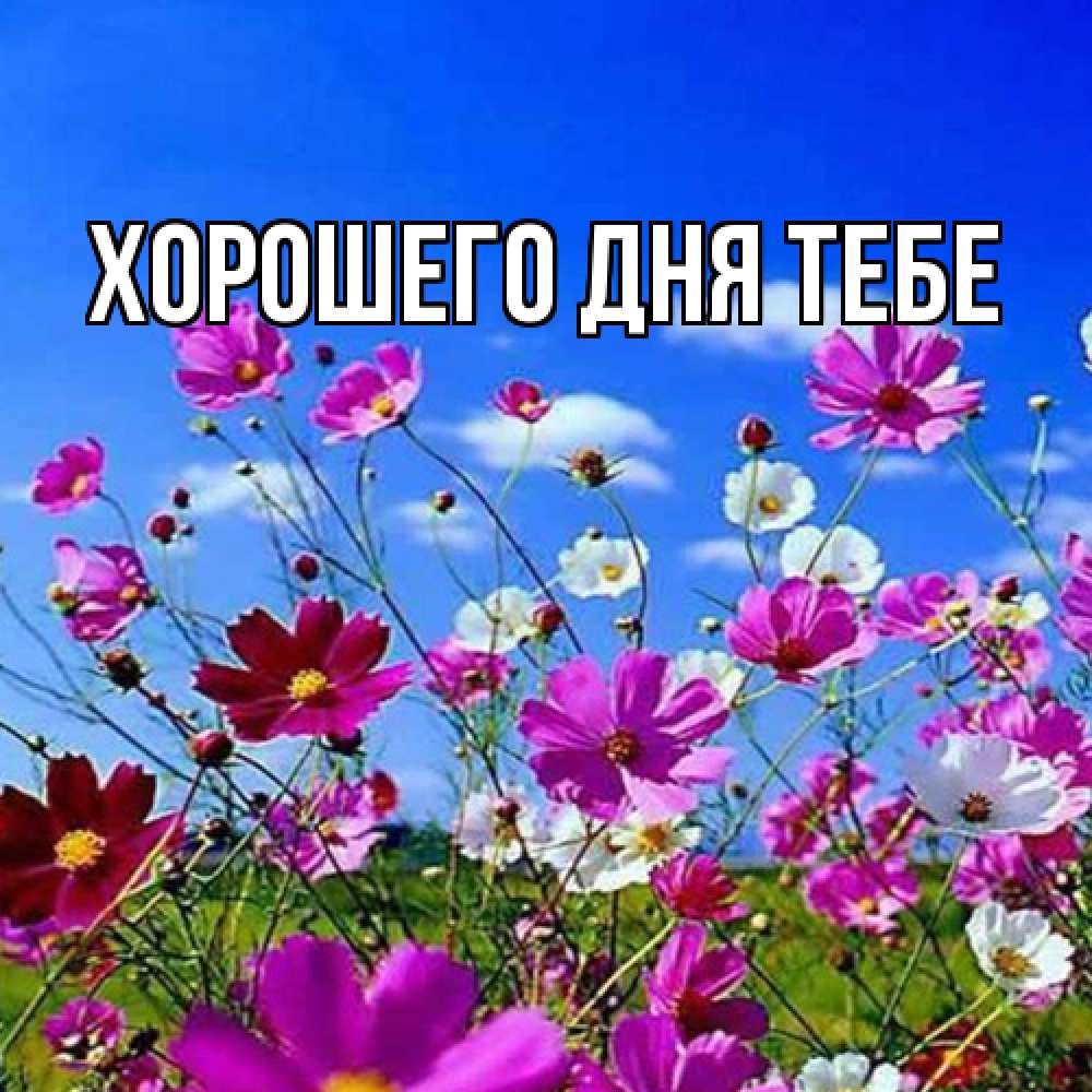 Открытка на каждый день с именем, Гастон Люблю тебя цветы Прикольная открытка с пожеланием онлайн скачать бесплатно 