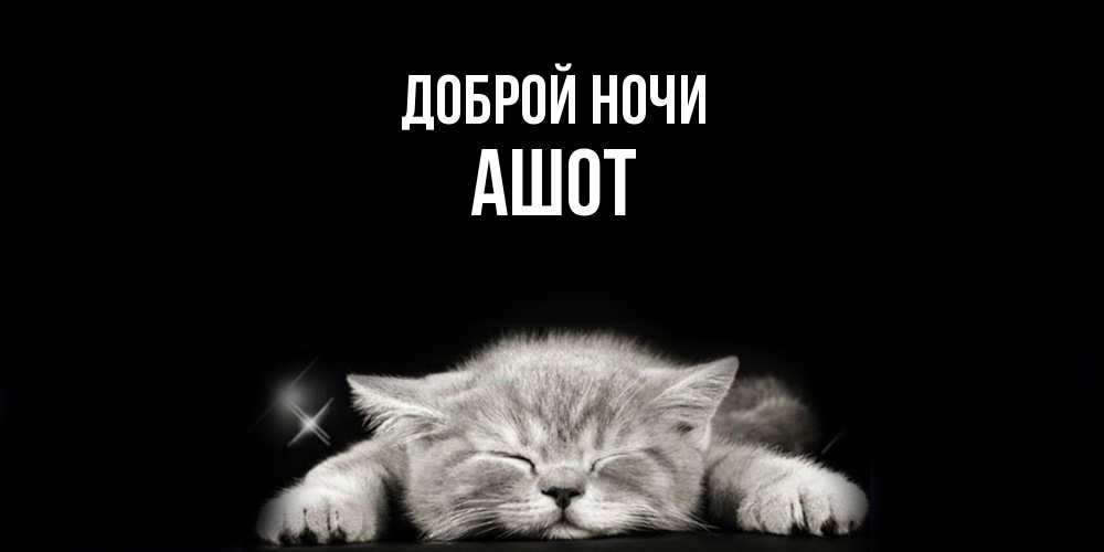 Открытка на каждый день с именем, Ашот Доброй ночи спящий котик Прикольная открытка с пожеланием онлайн скачать бесплатно 