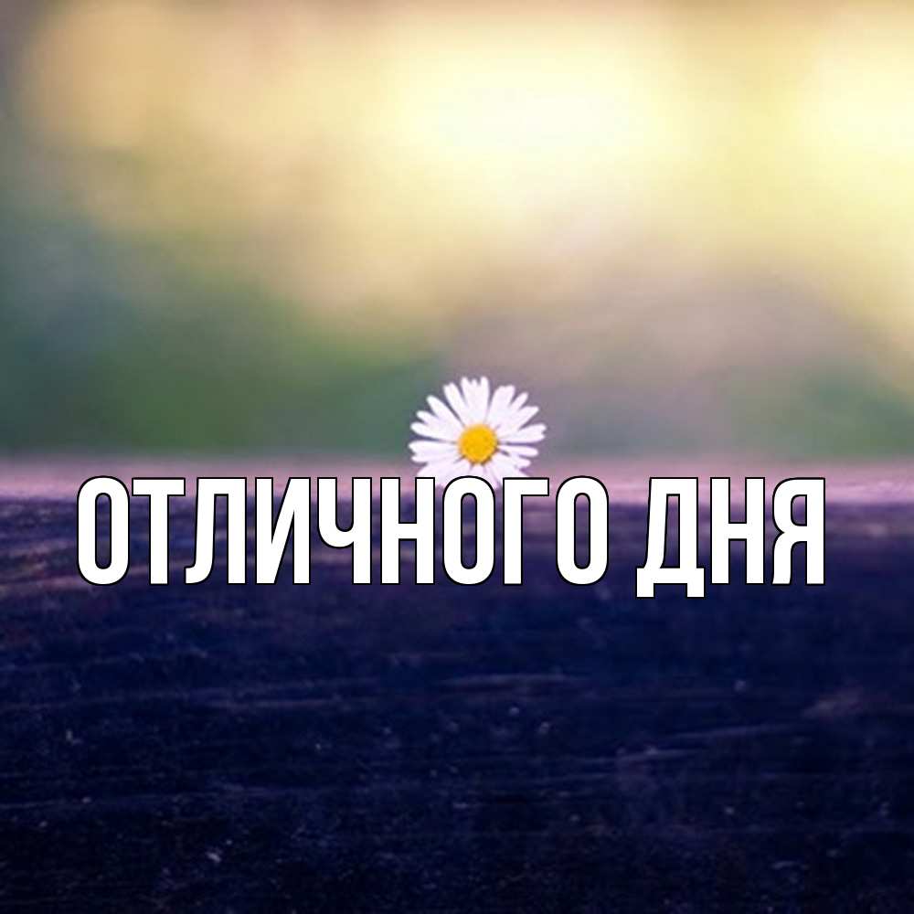 Открытка на каждый день с именем, Леся Скучашки приходи в гости Прикольная открытка с пожеланием онлайн скачать бесплатно 