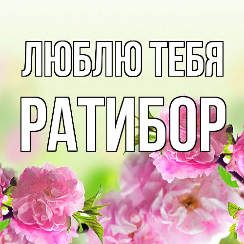 Картинка Люблю тебя, Ратибор