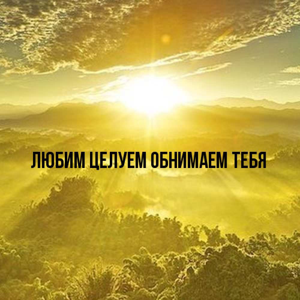 Открытка на каждый день с именем, Вероника От всей души тебе леса и небо в желтом Прикольная открытка с пожеланием онлайн скачать бесплатно 