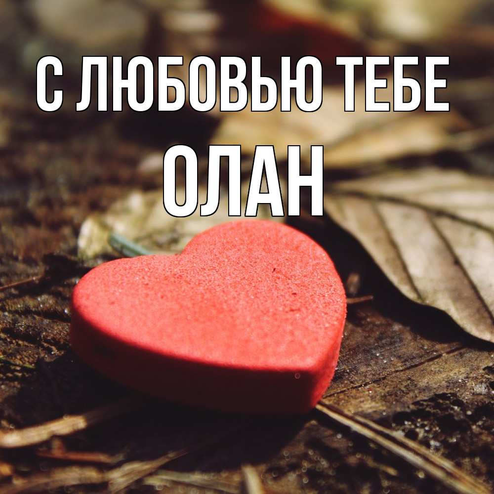 Открытка на каждый день с именем, Олан С любовью тебе листья деревье 4 Прикольная открытка с пожеланием онлайн скачать бесплатно 