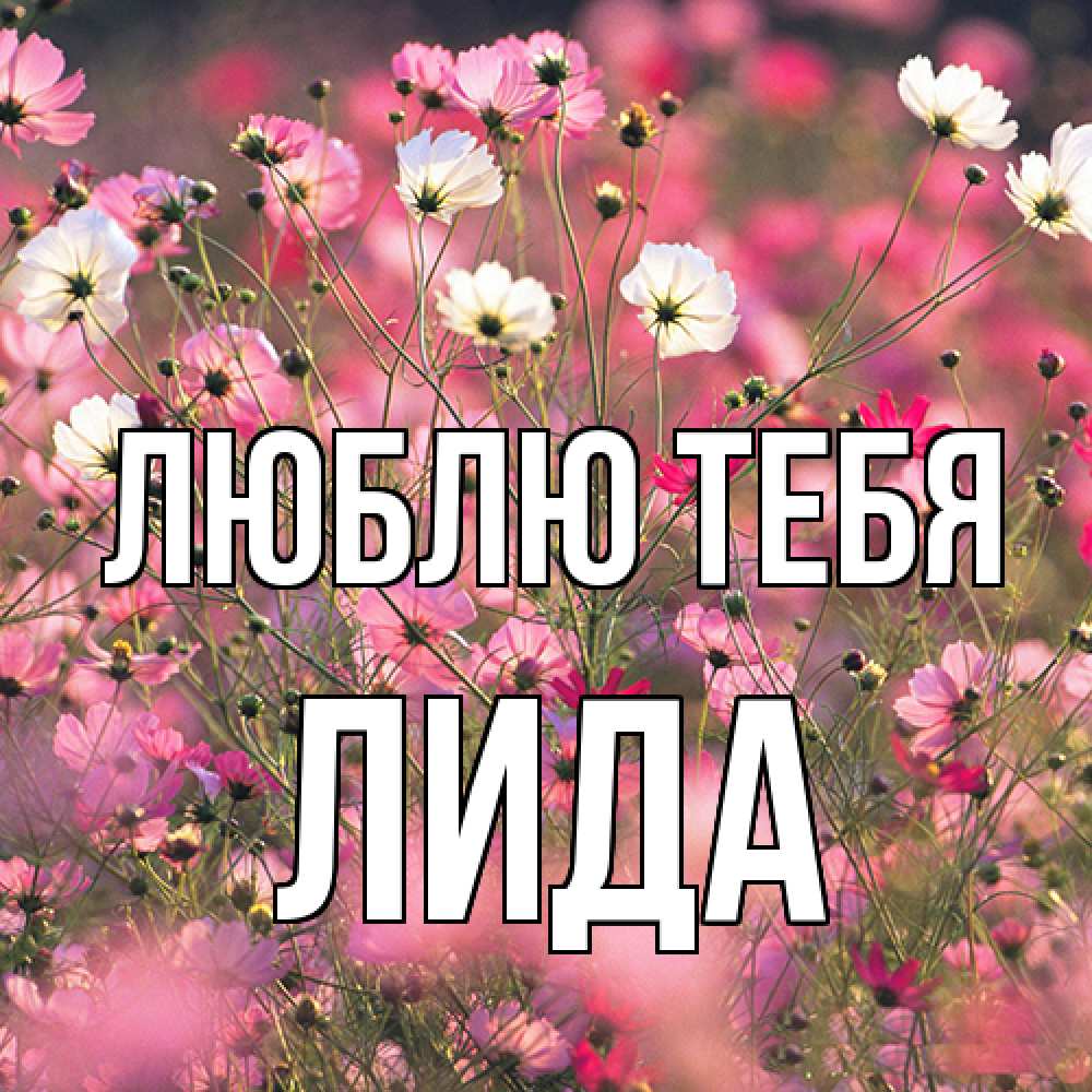 Открытка на каждый день с именем, Лида Люблю тебя красиво 1 Прикольная открытка с пожеланием онлайн скачать бесплатно 