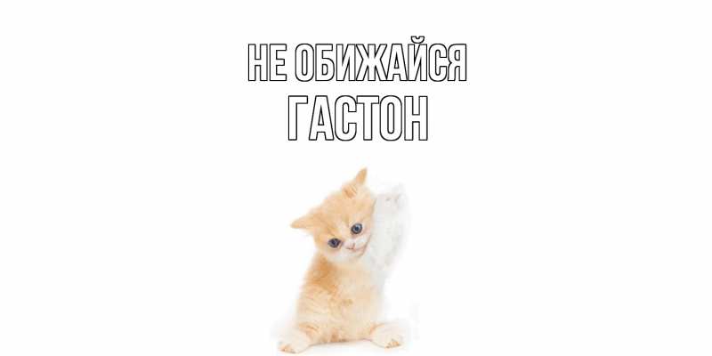 Картинка Не обижайся, Гастон