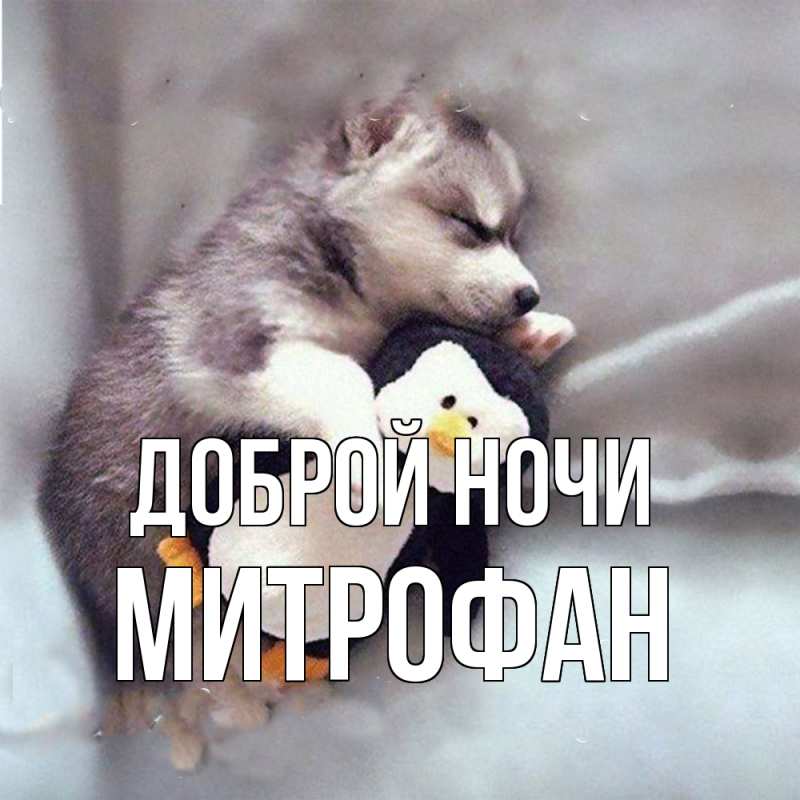 Открытка с именем, Митрофан, Доброй ночи