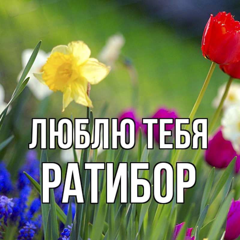 Картинка Люблю тебя, Ратибор