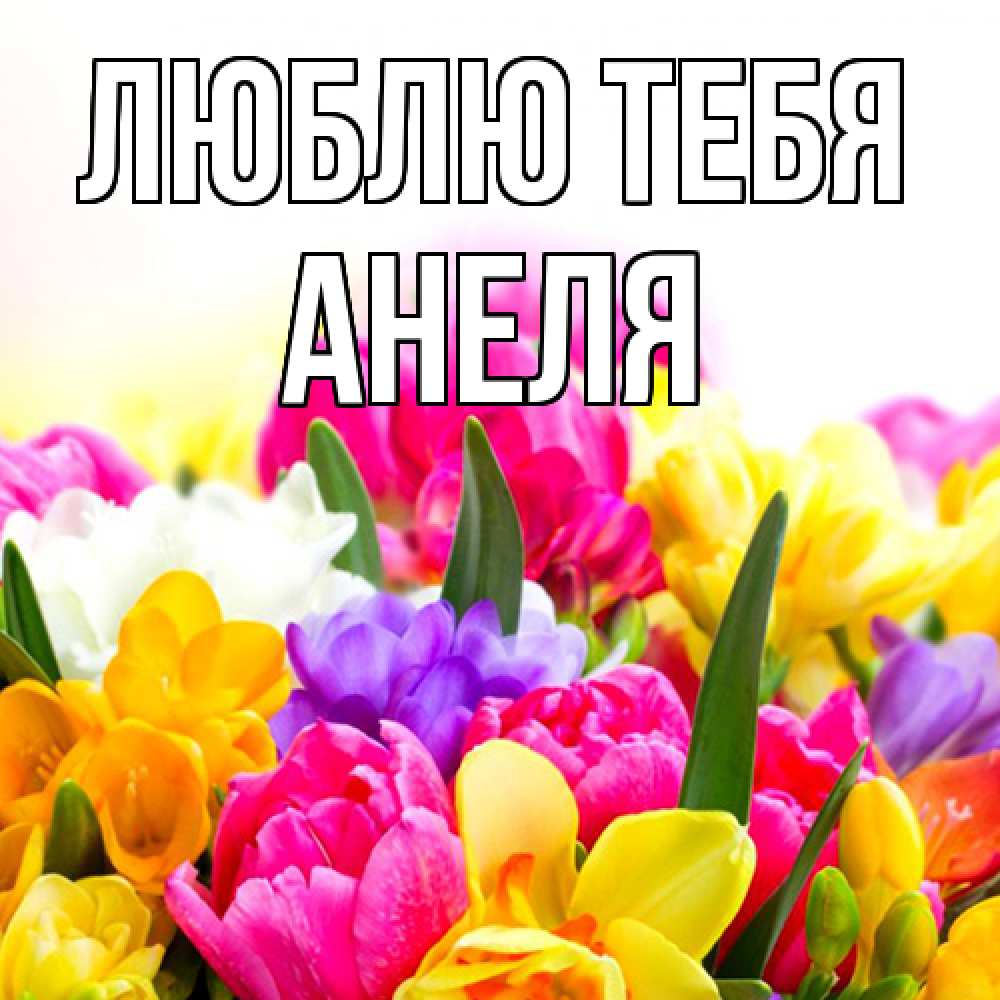 Открытка на каждый день с именем, Анеля Люблю тебя тюльпаны Прикольная открытка с пожеланием онлайн скачать бесплатно 