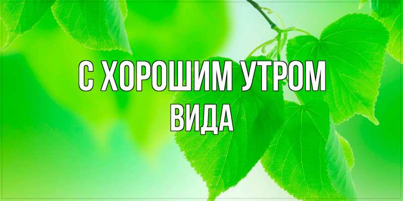 Картинка С хорошим утром, Вида