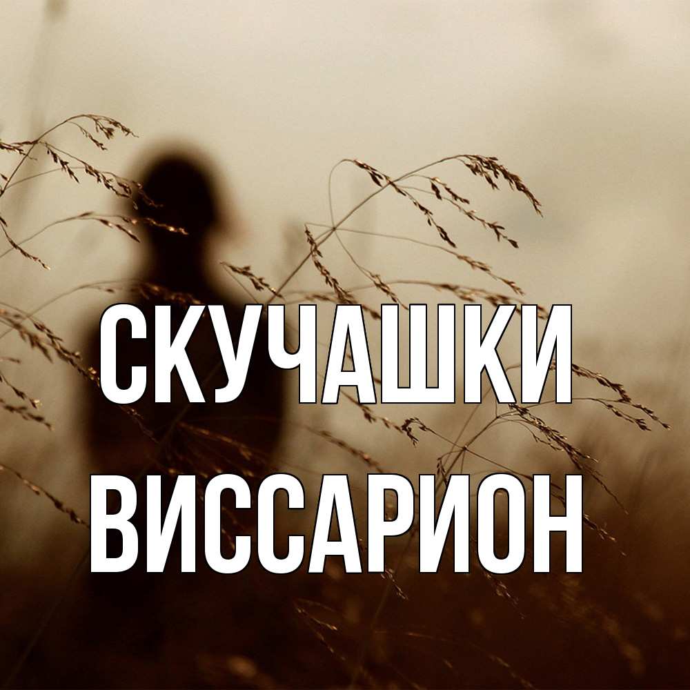 Открытка на каждый день с именем, Виссарион Скучашки силуэт девушки Прикольная открытка с пожеланием онлайн скачать бесплатно 