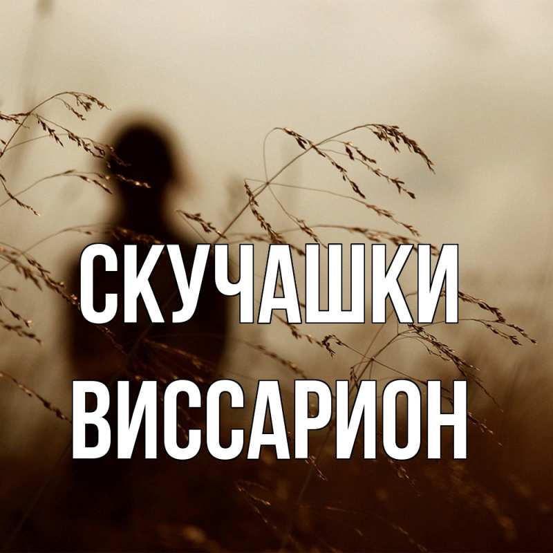 Картинка Скучашки, Виссарион