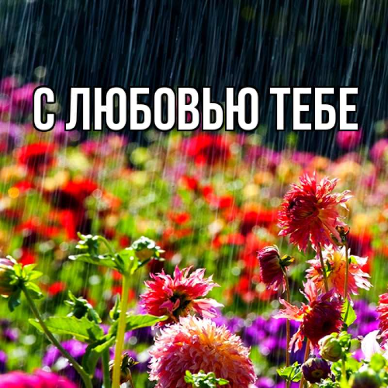 Картинка Люблю тебя, Жан