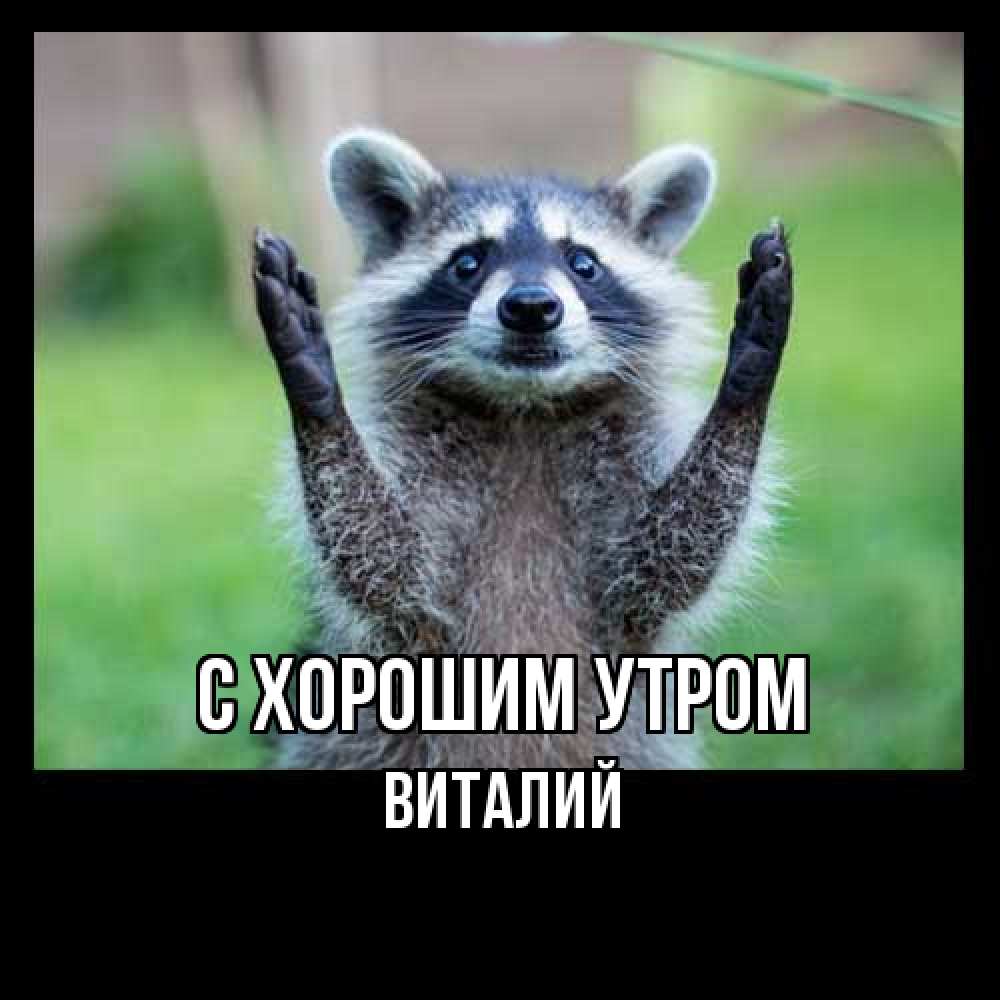 Открытка на каждый день с именем, Виталий С хорошим утром хорошее настроение утречком Прикольная открытка с пожеланием онлайн скачать бесплатно 