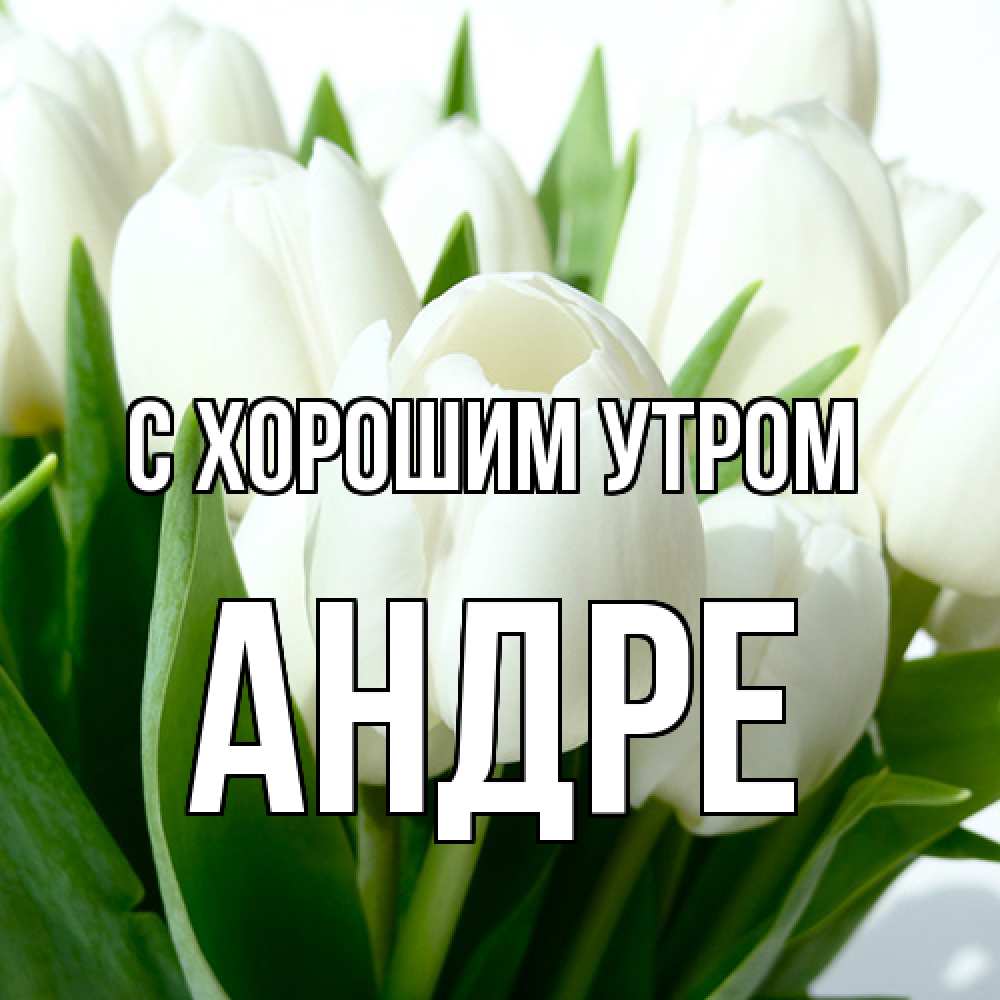 Открытка на каждый день с именем, Андре С хорошим утром открытки на каждый день по именам Прикольная открытка с пожеланием онлайн скачать бесплатно 