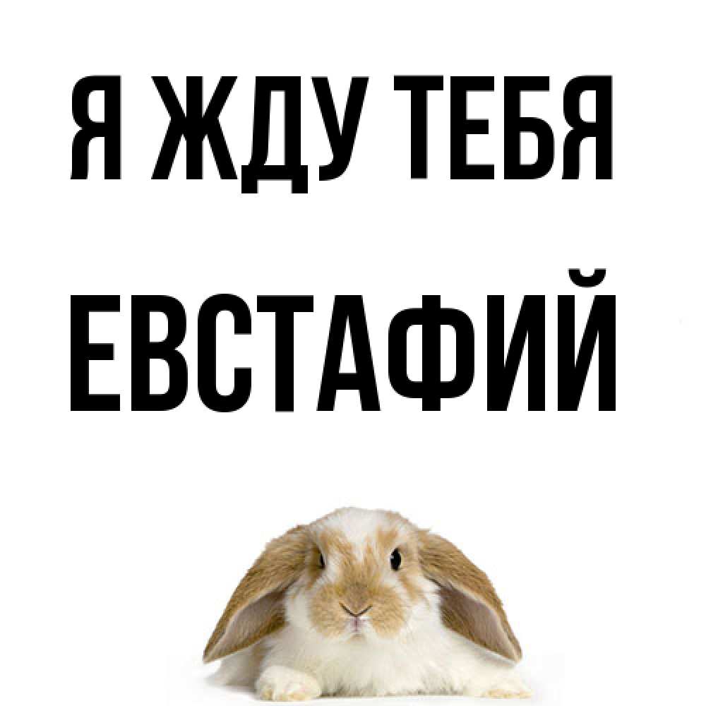Открытка на каждый день с именем, Евстафий Я жду тебя подписать своими руками онлайн Прикольная открытка с пожеланием онлайн скачать бесплатно 