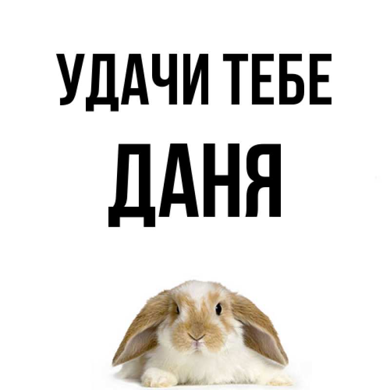 Открытка с именем, Даня, Удачи тебе