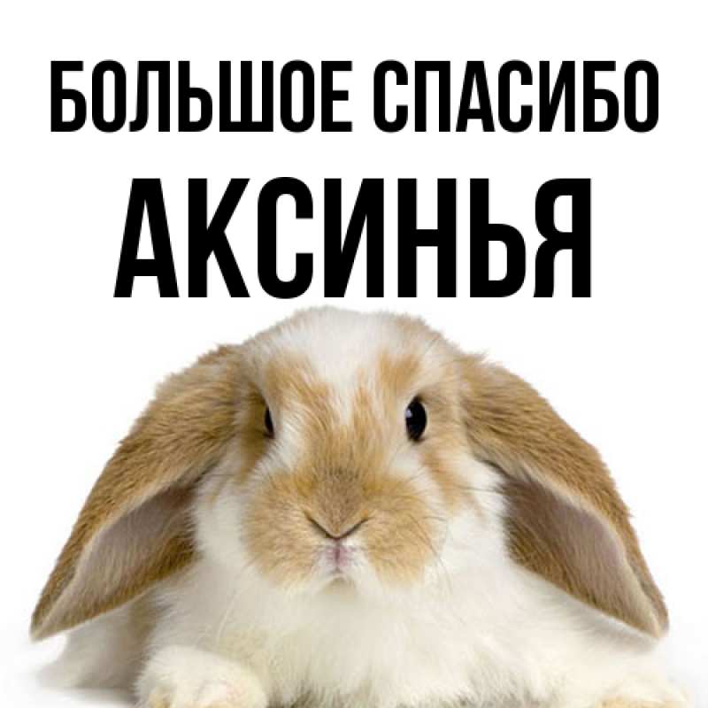 Картинка Большое спасибо, Аксинья
