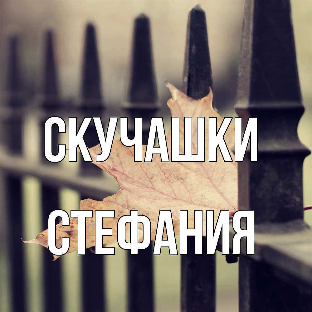 Открытка на каждый день с именем, Стефания Скучашки очень скучно Прикольная открытка с пожеланием онлайн скачать бесплатно 