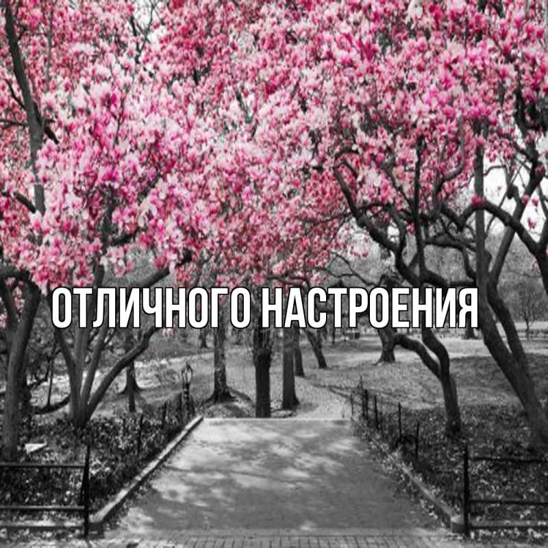 Картинка Обнимашки, Владислава