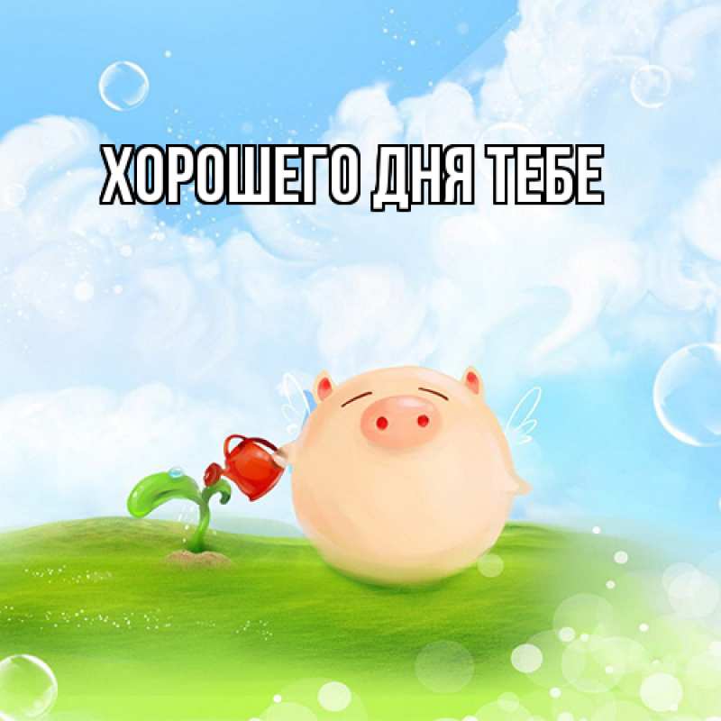 Картинка Удачи тебе, Трифон