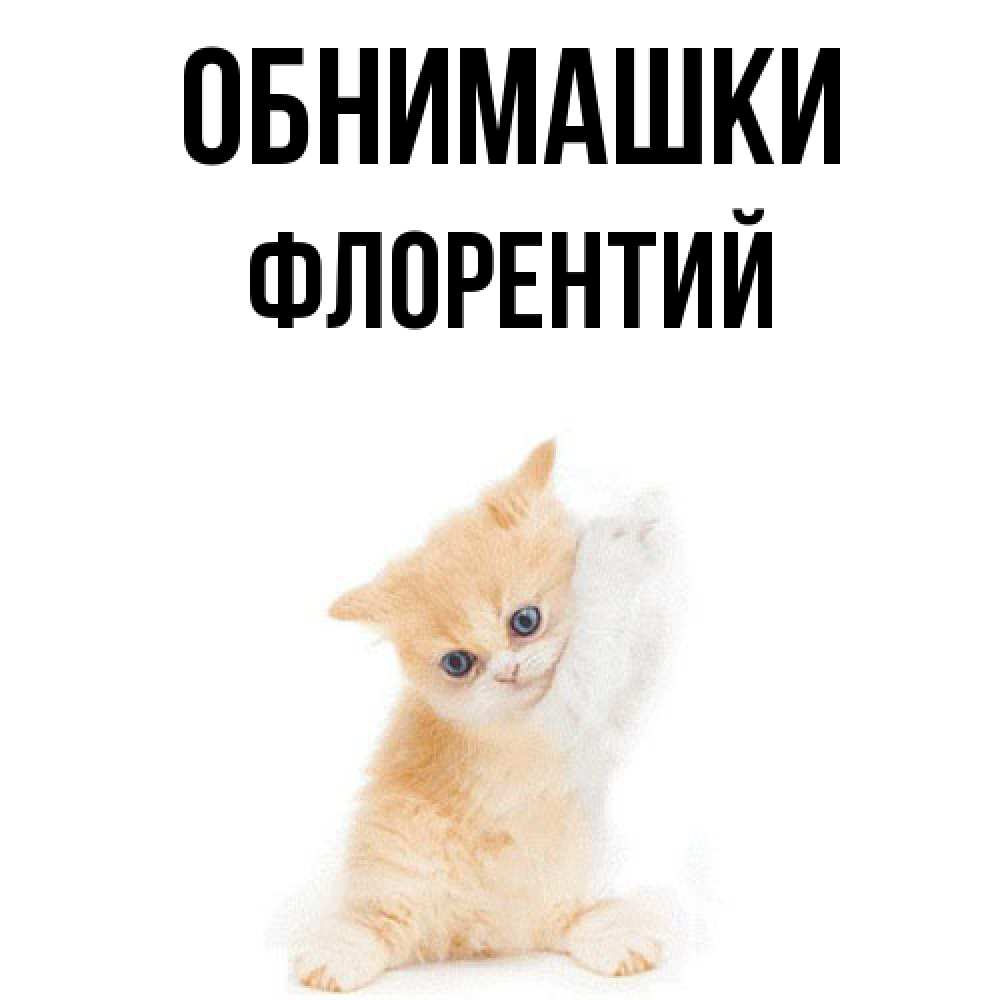 Открытка на каждый день с именем, Флорентий Обнимашки я хочу очень скорее обнимаешек Прикольная открытка с пожеланием онлайн скачать бесплатно 