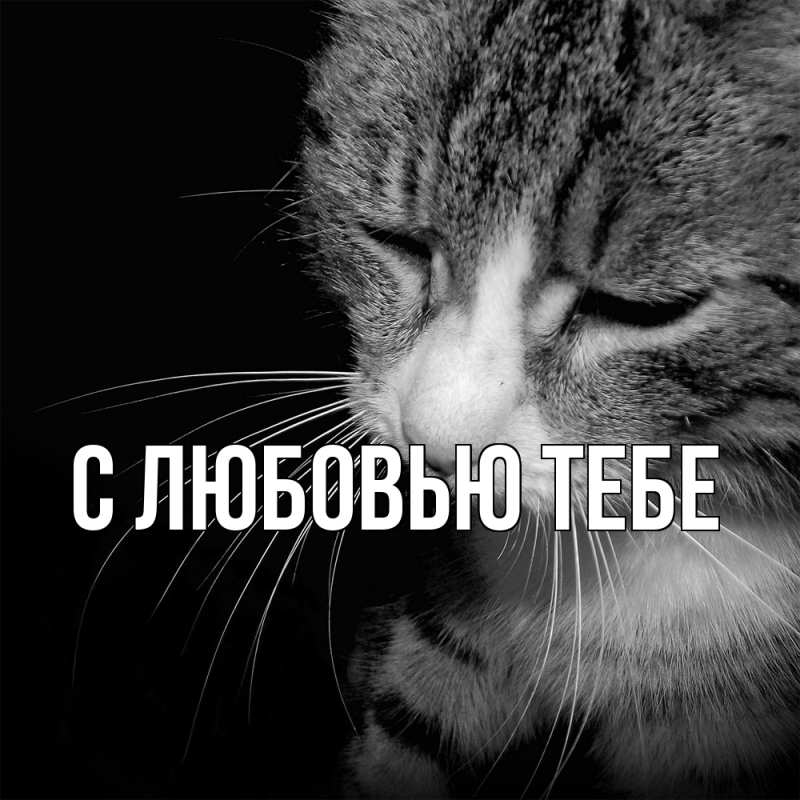 Картинка Скучашки, Магда