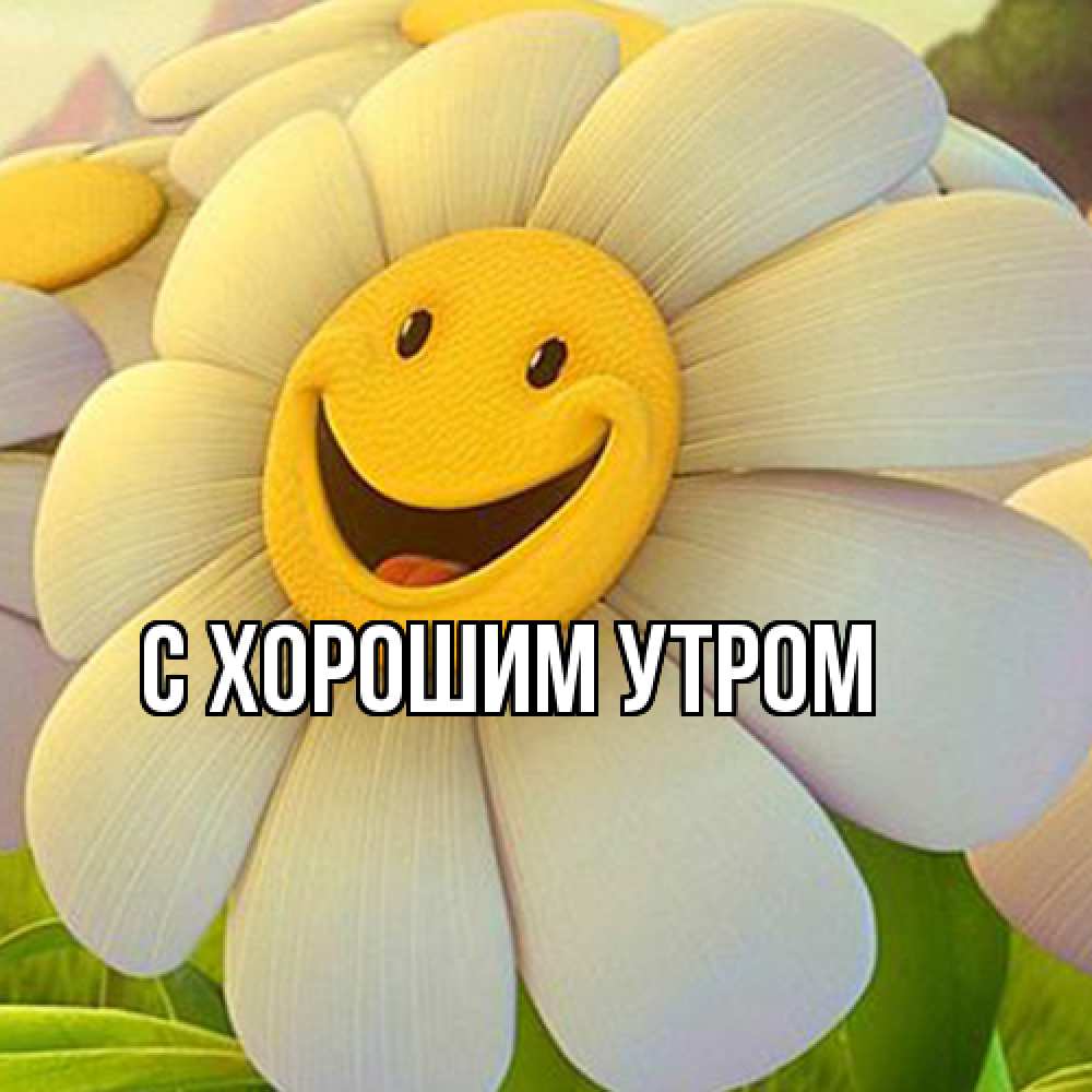 Открытка на каждый день с именем, Толя Я жду тебя позитивные мысли Прикольная открытка с пожеланием онлайн скачать бесплатно 