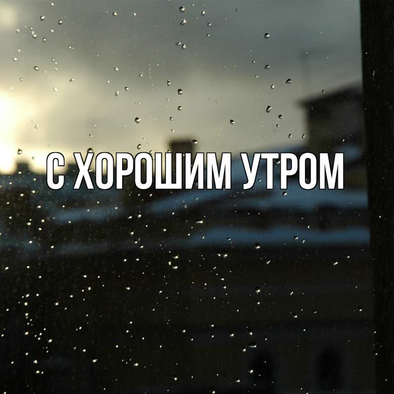 Картинка Скучашки, Дилара