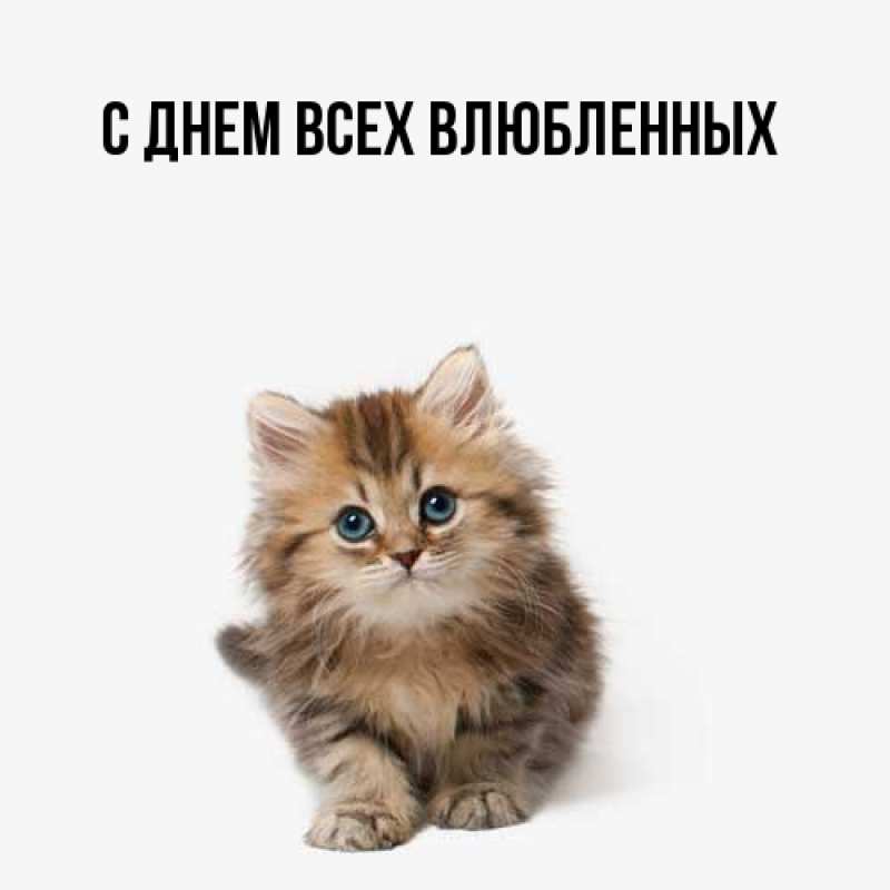 Картинка Большое спасибо, Трифон