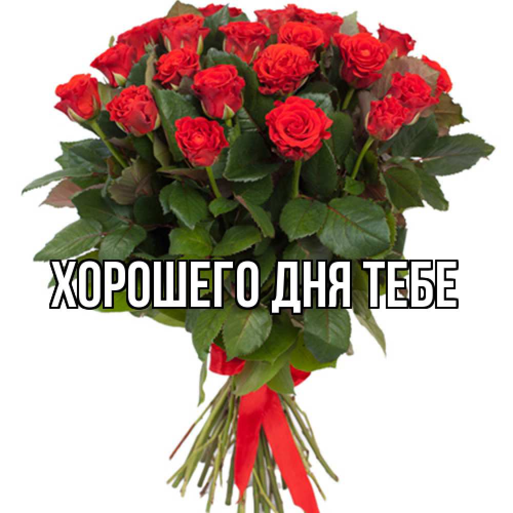 Открытка на каждый день с именем, Густав Люблю тебя цветы на 8 марта 1 Прикольная открытка с пожеланием онлайн скачать бесплатно 