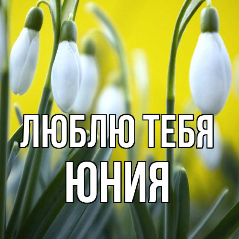 Картинка Люблю тебя, Юния