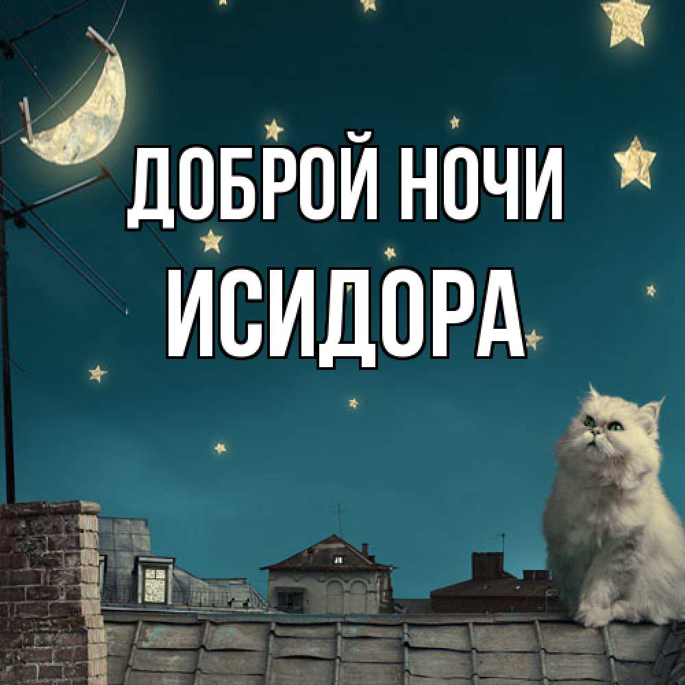 Открытка на каждый день с именем, Исидора Доброй ночи белый кот сидит на крыше Прикольная открытка с пожеланием онлайн скачать бесплатно 