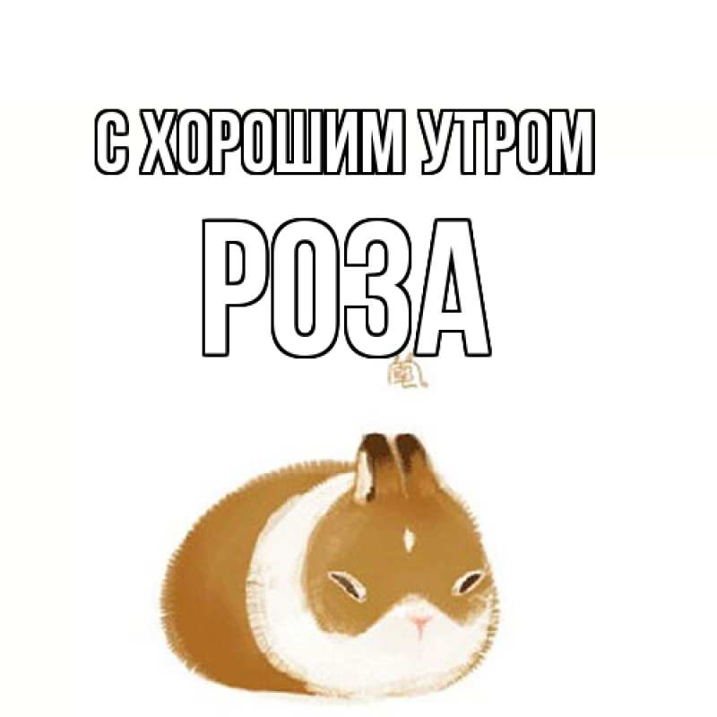 Картинка С хорошим утром, Роза