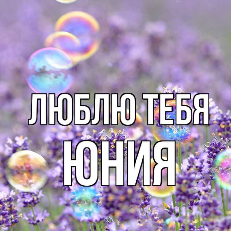 Картинка Люблю тебя, Юния