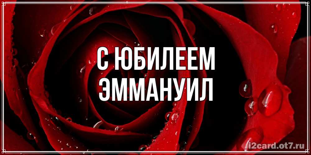 Открытка на каждый день с именем, Эммануил C юбилеем крупная бордовая роза Прикольная открытка с пожеланием онлайн скачать бесплатно 