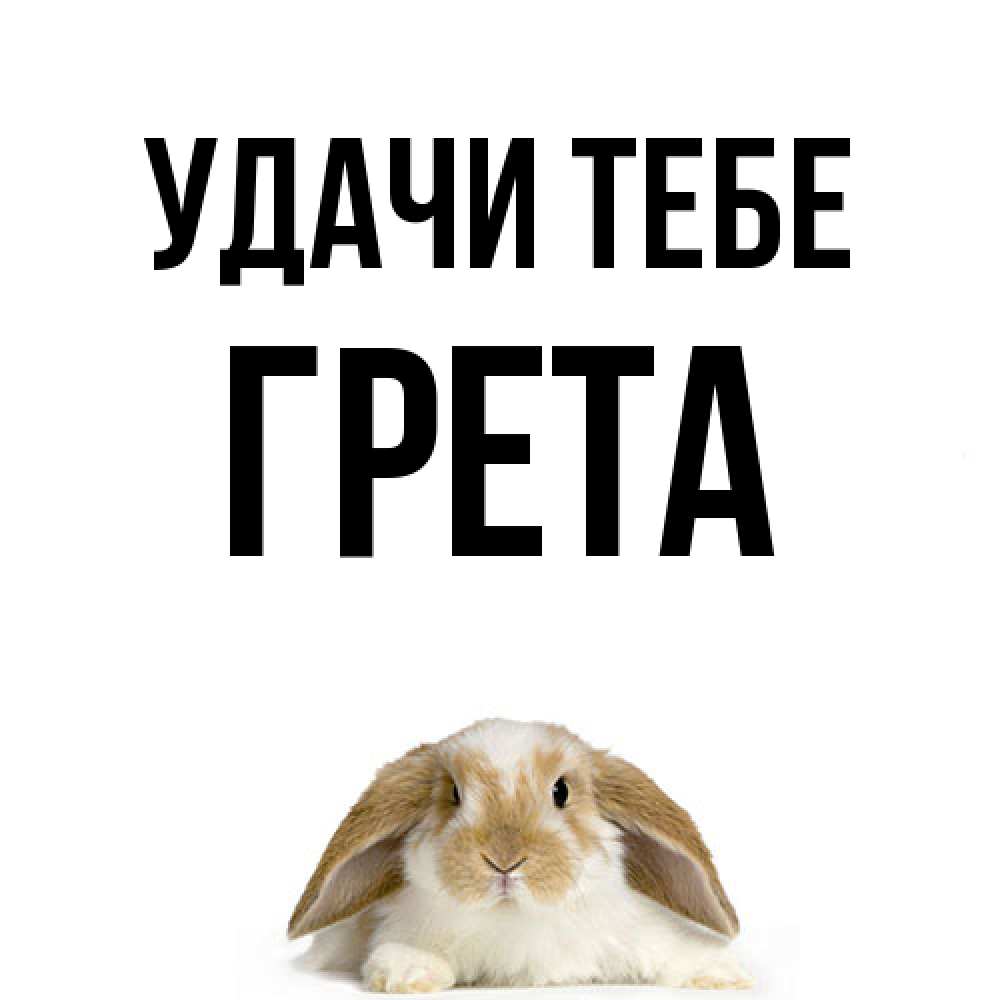 Открытка на каждый день с именем, Грета Удачи тебе открытки с произвольным текстом который можно вставить в открытку и создать ее самостоятельно бесплатно онлайн Прикольная открытка с пожеланием онлайн скачать бесплатно 