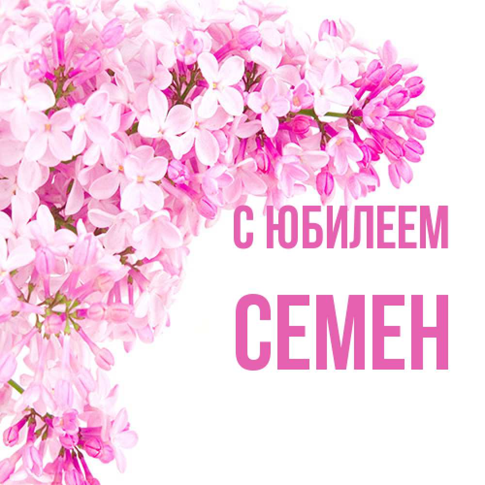Открытка на каждый день с именем, Семен C юбилеем Сирень на белом фоне Прикольная открытка с пожеланием онлайн скачать бесплатно 