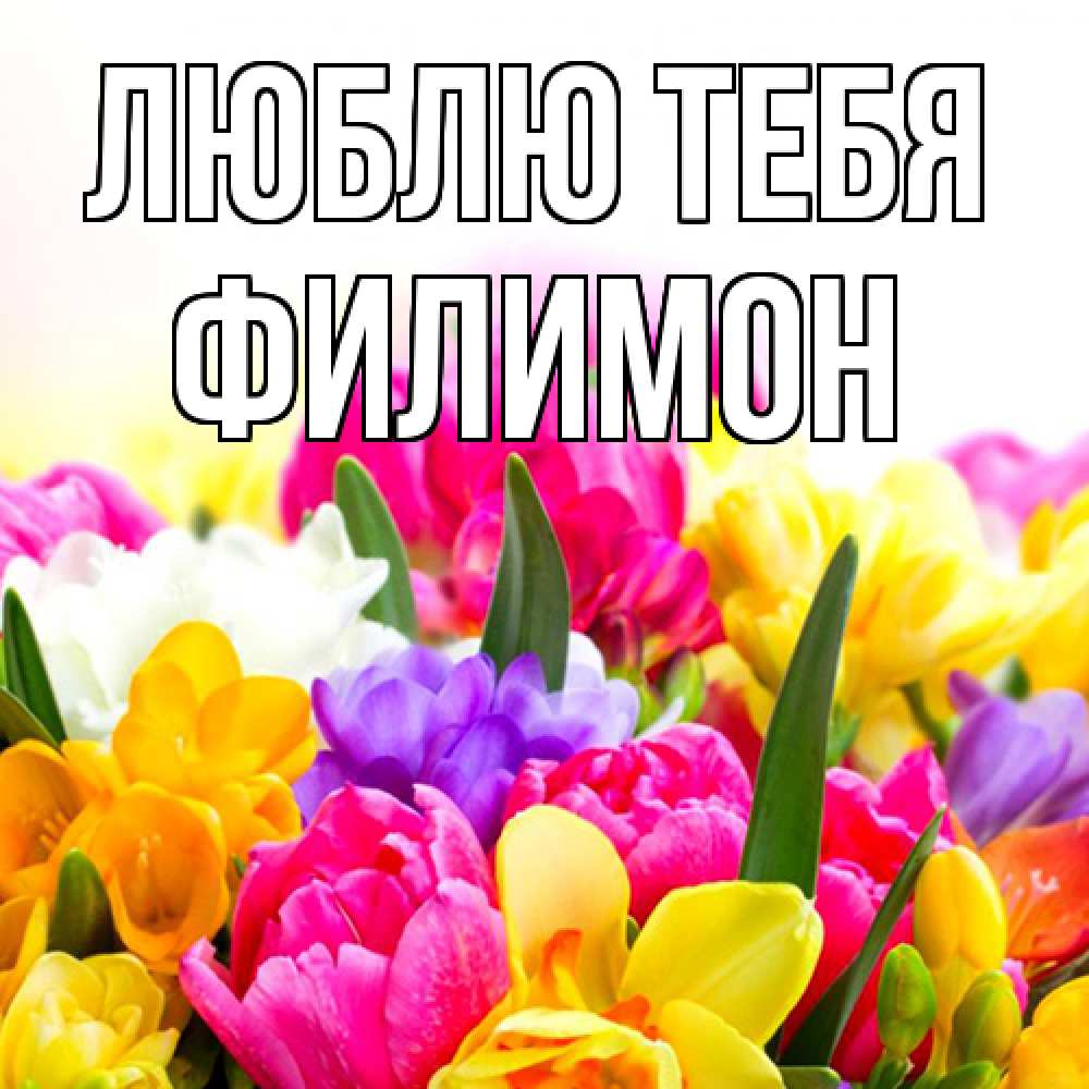 Открытка на каждый день с именем, Филимон Люблю тебя тюльпаны Прикольная открытка с пожеланием онлайн скачать бесплатно 