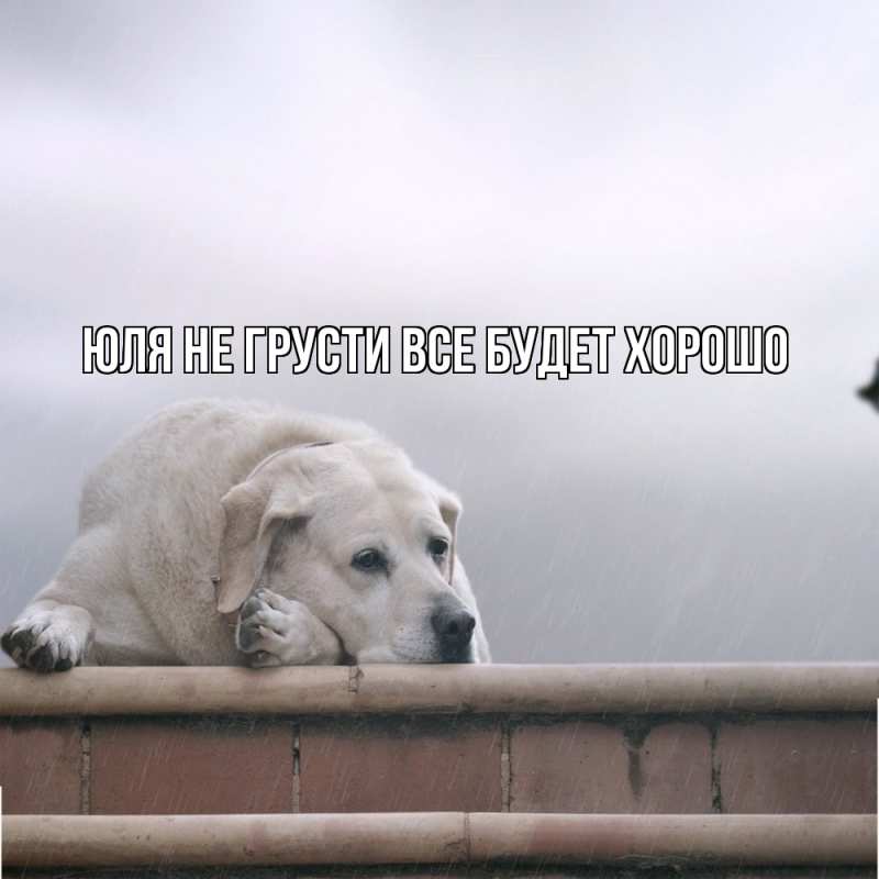 Картинка Не грусти, все будет хорошо, Юля