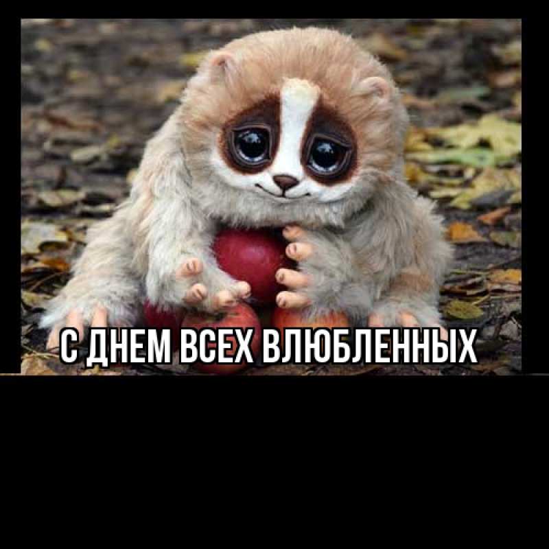 Картинка Большое спасибо, Шакира