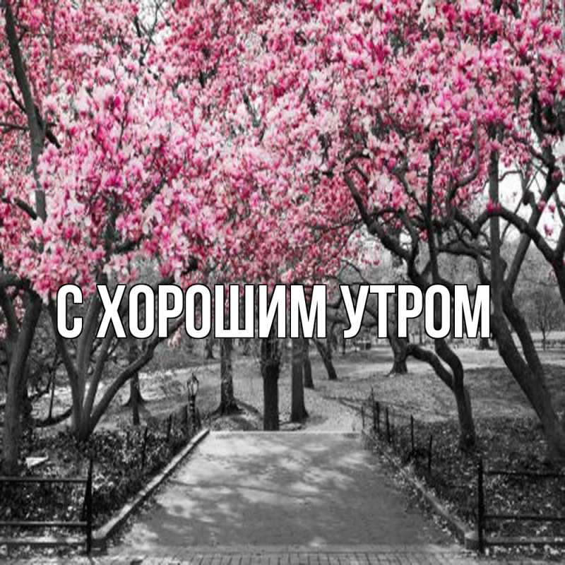 Картинка Обнимашки, Фанис