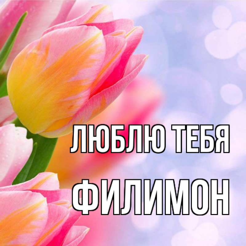 Картинка Люблю тебя, Филимон
