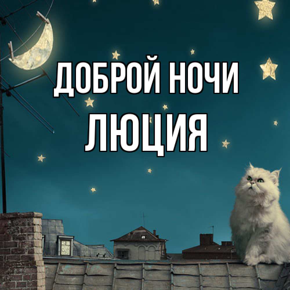 Открытка на каждый день с именем, Люция Доброй ночи белый кот сидит на крыше Прикольная открытка с пожеланием онлайн скачать бесплатно 