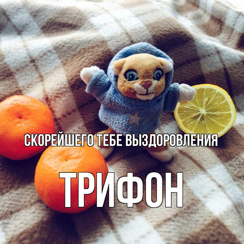 Открытка на каждый день с именем, Трифон Скорейшего тебе выздоровления вот тебе апельсинка и лимон Прикольная открытка с пожеланием онлайн скачать бесплатно 