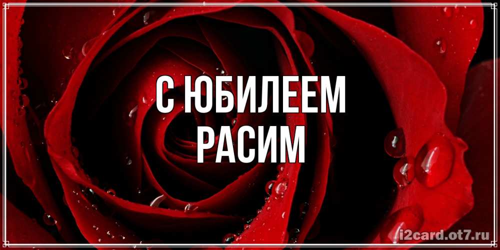 Открытка на каждый день с именем, Расим C юбилеем крупная бордовая роза Прикольная открытка с пожеланием онлайн скачать бесплатно 
